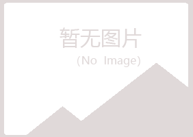 麻山区凌乱咨询有限公司